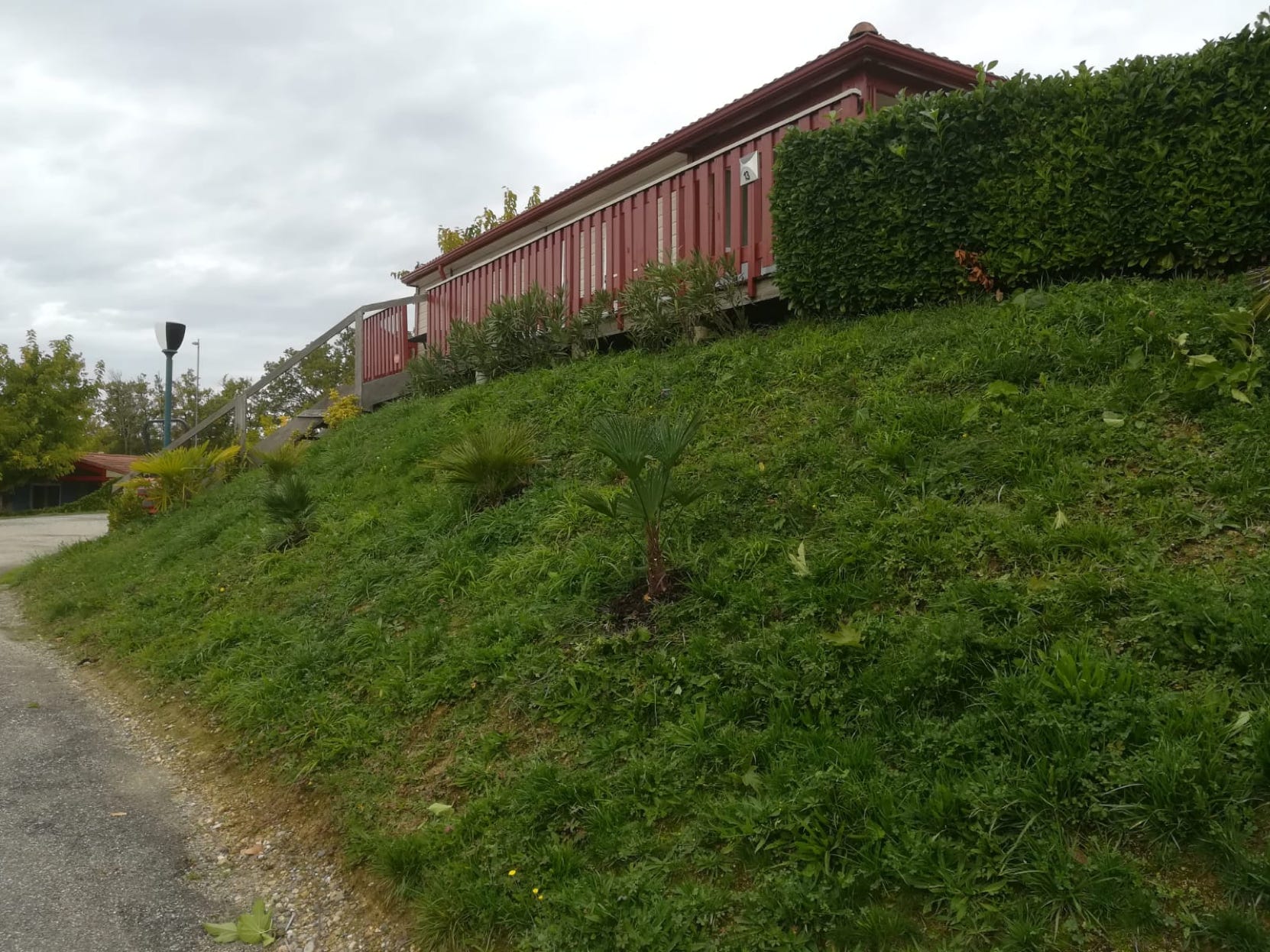 Wal is inmiddels voorzien van palem en gras bij Chalet 13 / PRL 13 bij Camping Le Talouch in de Gers, zuid Frankrijk